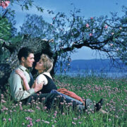 Rassismus beim regionalen Reisen